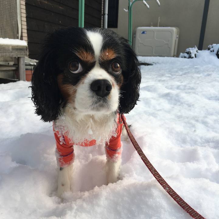 Fcd7e5ab b896 49c0 82be 91f8443f54ab 1514761215702