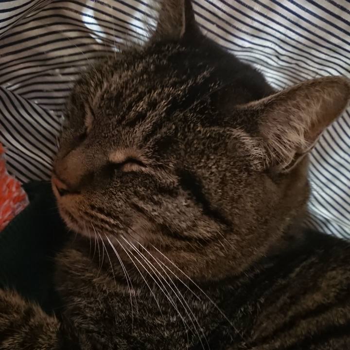 Fcd80678 2eb2 4ec2 adf6 050f449a3244 1640783382864