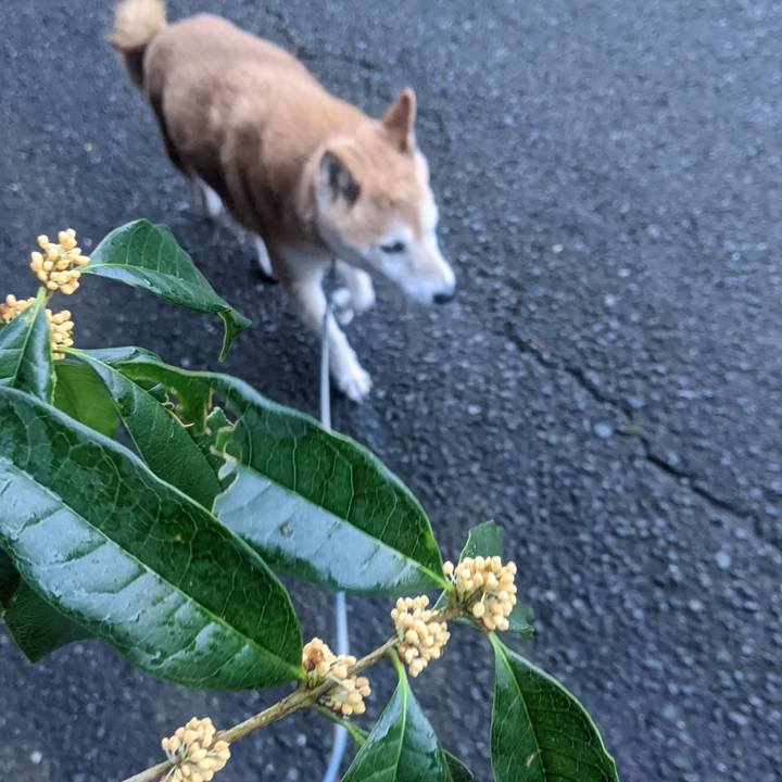 Fcd82a60 cfb3 4607 abdc a1839f5359e2 1760691729413