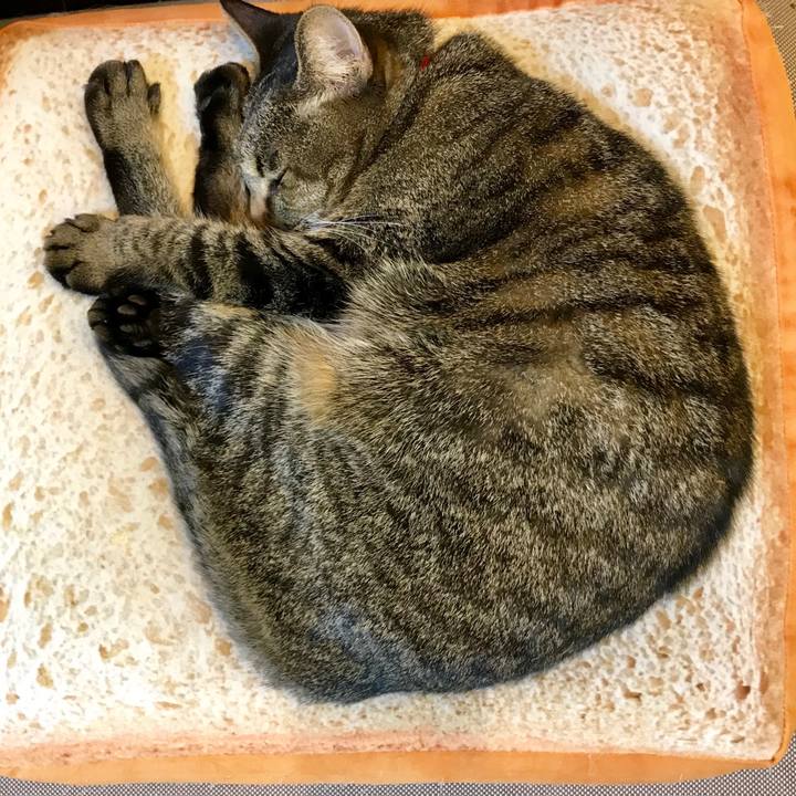 Fcd84501 3a92 4ef7 bdd9 8320ce07083a 1549285227796