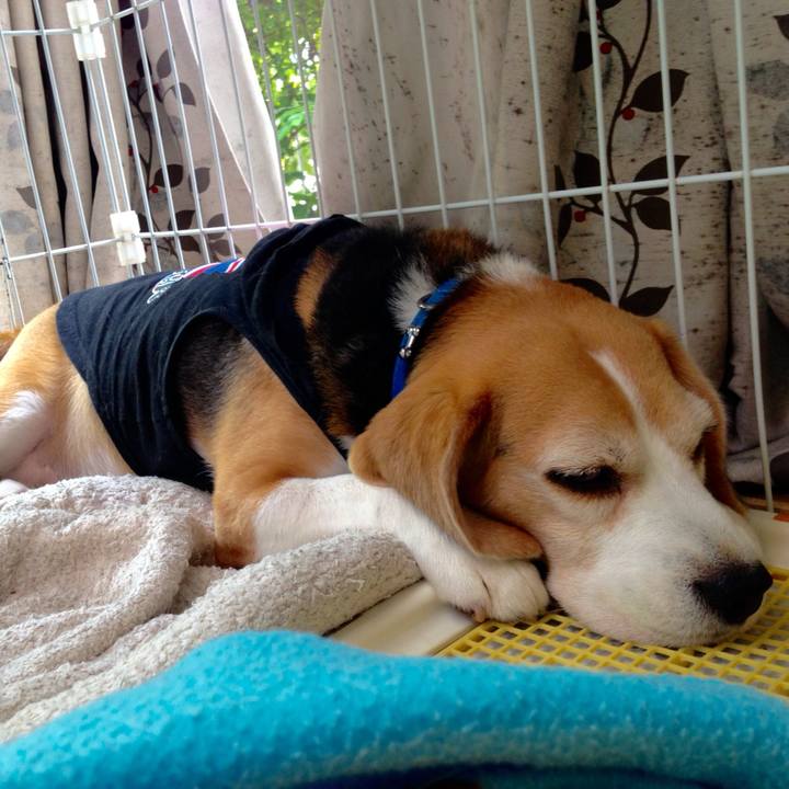 Fcd8493c c5cb 4d27 a0b6 43c01eea2f59 1752105709377