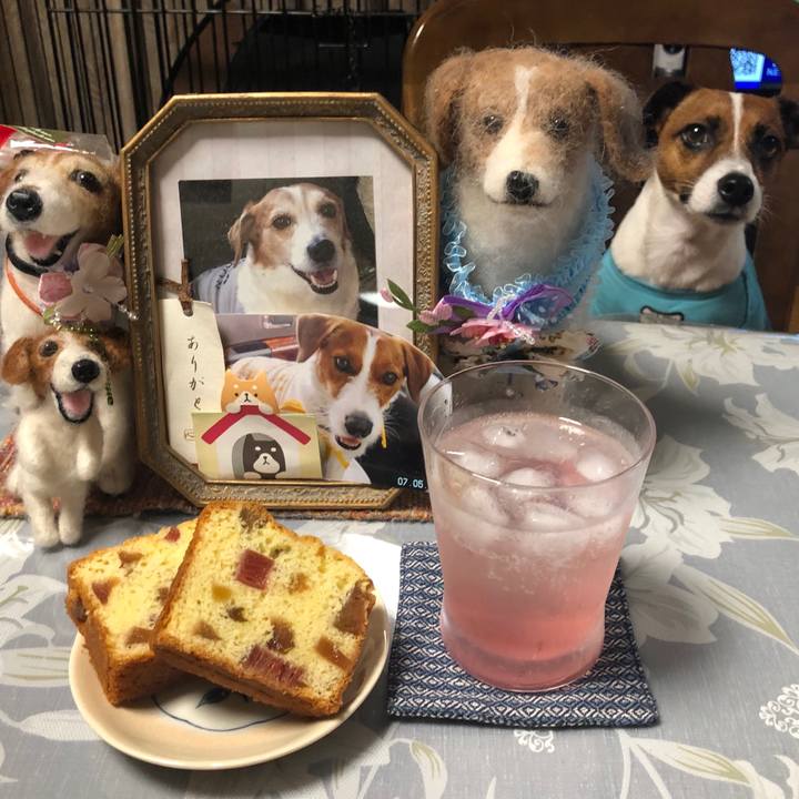 Fcd852b9 fc48 4b4b 9a0a ade0e5809306 1594371942521