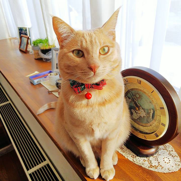 Fcd861cb f1fe 4d93 94b3 596cac5ee9ee 1577936173345