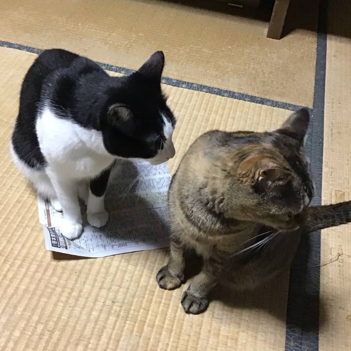 Fcd86257 89c3 4849 8ad3 3045bce3211f 1760086994324