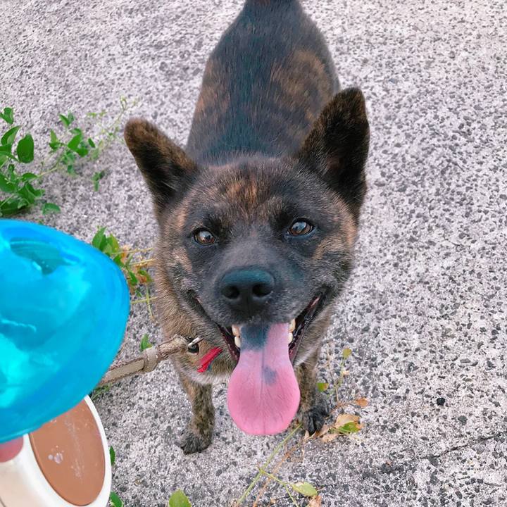 Fcd86922 868e 4680 ad15 286a4a747318 1533900464339