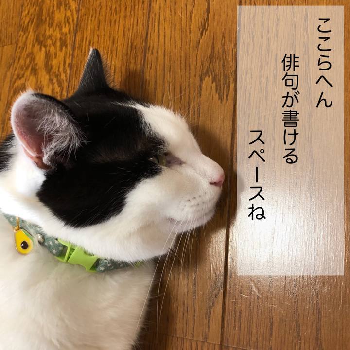 Fcd881ff 80bd 4090 879d b382164fccab 1598926992761