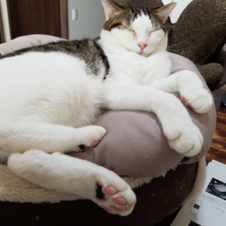 Fcd8a8f5 cdda 4821 b7bd 33710dcc0005 1573256874573