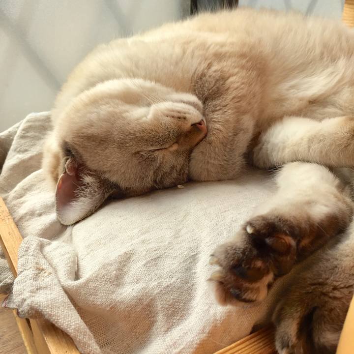 Fcd911c2 a476 4537 abcb c2fc8b82fa24 1572573975282