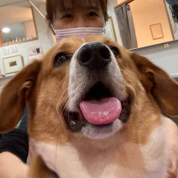 Fcd9216c 247c 4554 b317 30fb0e3886de 1669468491968