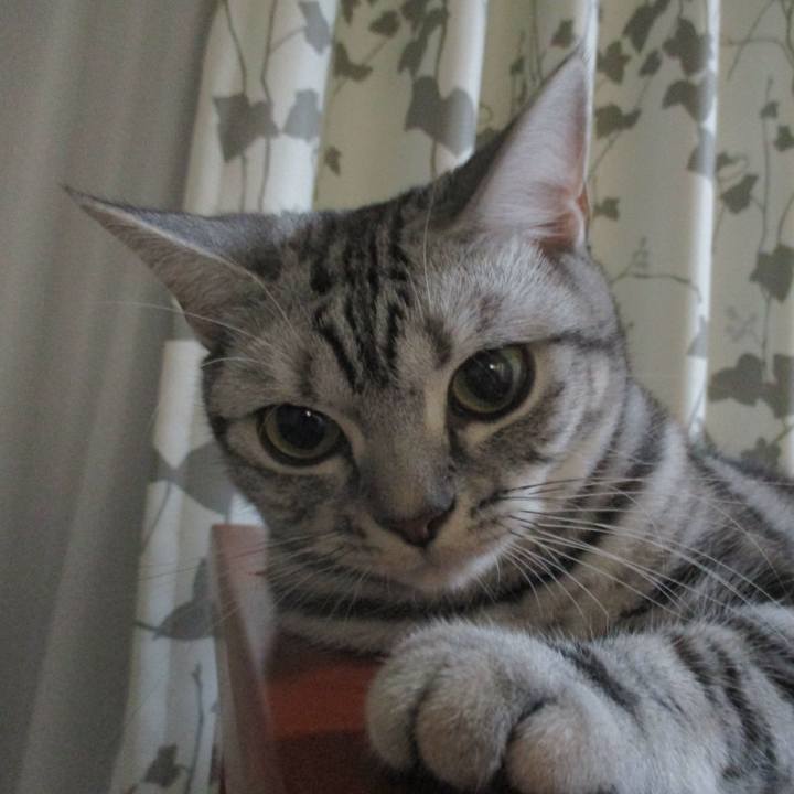 Fcd9300c 7778 4c78 a476 8f19003df6d7 1564829731754