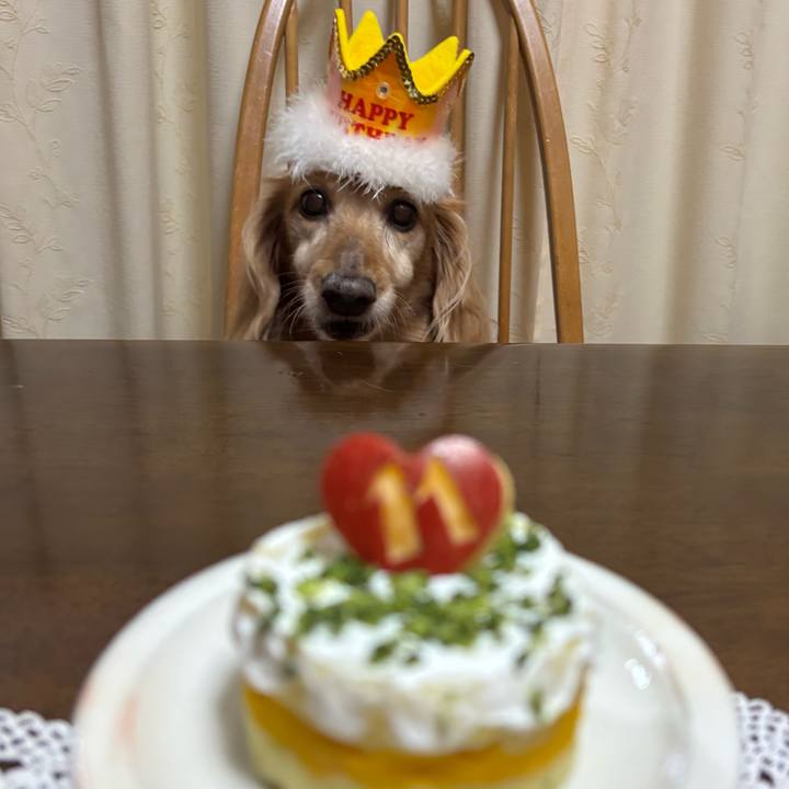 Fcd95ac5 d306 45f1 bd26 88b75bc70acf 1763629252706