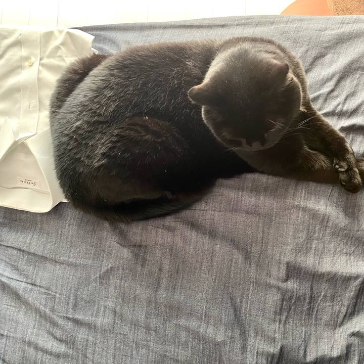 Fcd9b9b9 8ef7 4bc3 a029 efe9fb1ff5fb 1684286675296