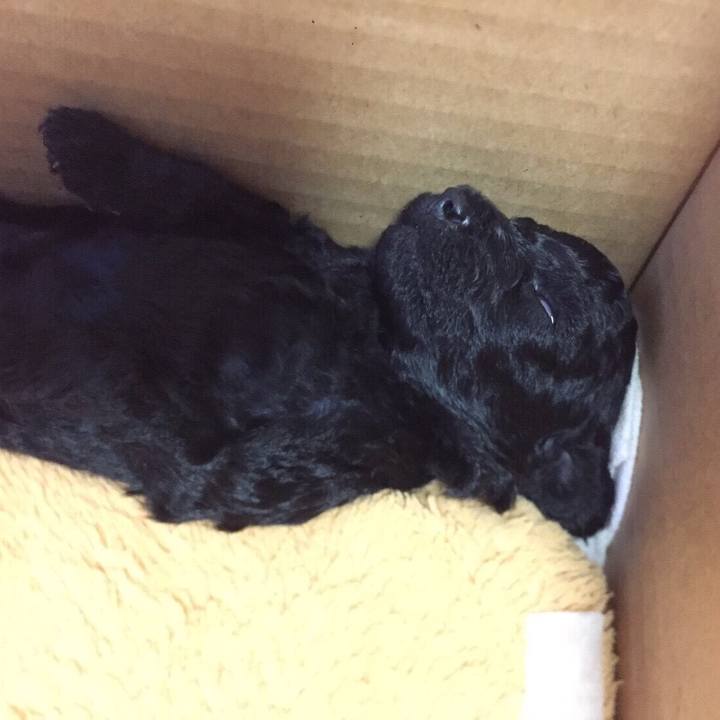 Fcda0be1 5a3a 424b 9664 b9dce1a0050f 1537678756288