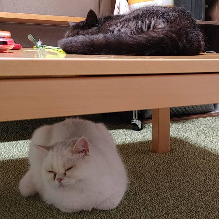 Fcda391c d0bc 4495 ba52 b99bc6c1b8f6 1632561860327