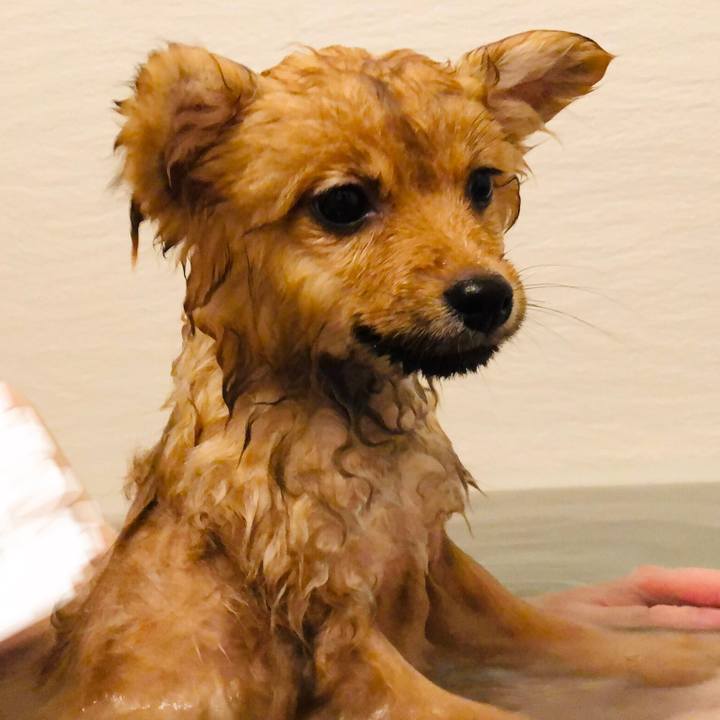 Fcda47f7 74eb 4a80 a5d9 7f65ed4556de 1575960867023