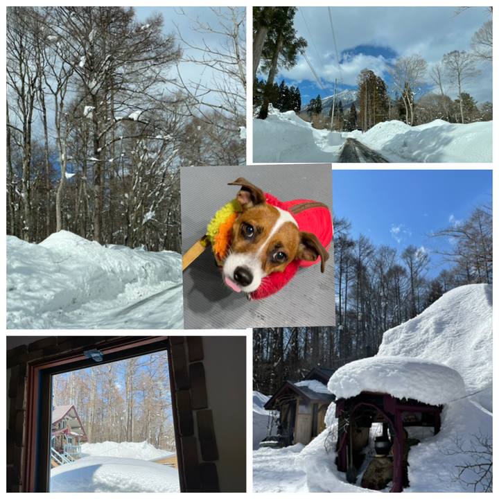 Fcda544f a6df 484b b896 f8cbef3c11f3 1646029196524