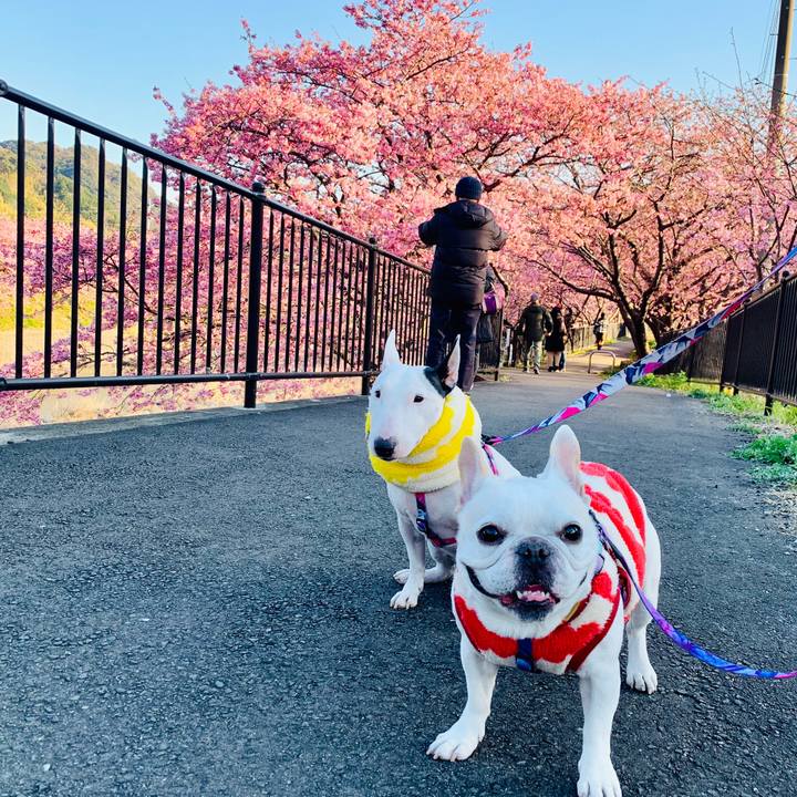 Fcda7a43 27b9 4c89 827c 2972d89c3ecc 1581384444880