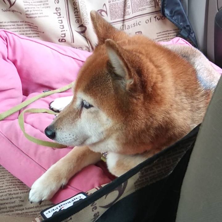 Fcda9acf f3c4 4df7 8973 f34dd60d9a31 1622164639998