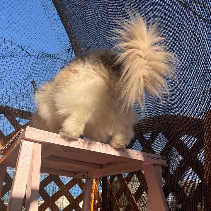 Fcdadfb4 850e 42f8 a91b 02df053e5d42 1764280960227