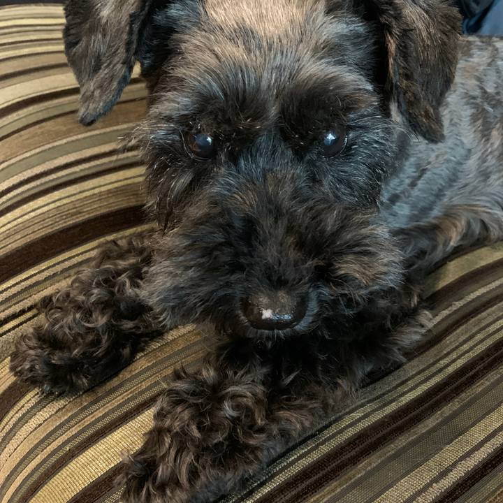 Fcdaf1df 54e1 431e bb6d 9f4f81fa9a43 1624145868466