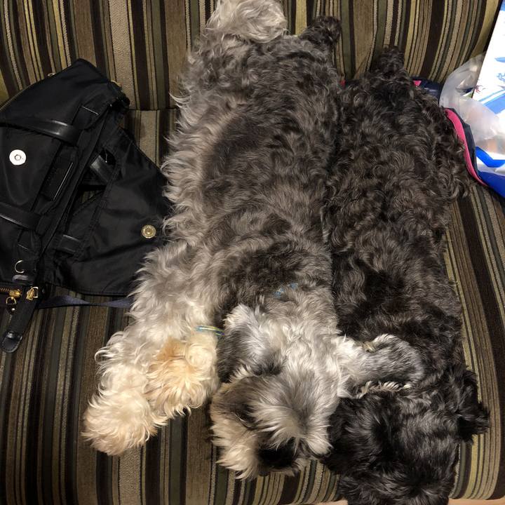 Fcdb1359 44e9 48c8 9a1c 3adb36532584 1535976086390