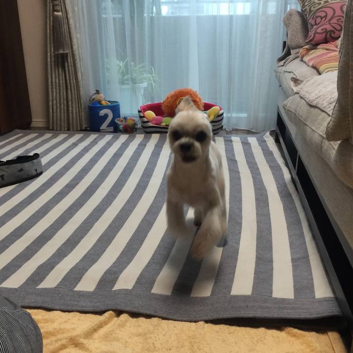 Fcdb1784 1b49 457e b5e1 9c382ac18ed4 1537524786987