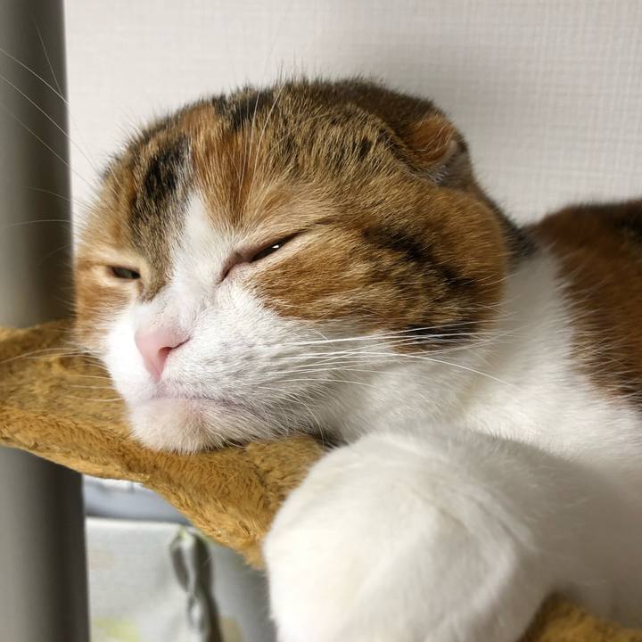 Fcdb284d f0a6 4738 8eaa 950562383688 1545379821497