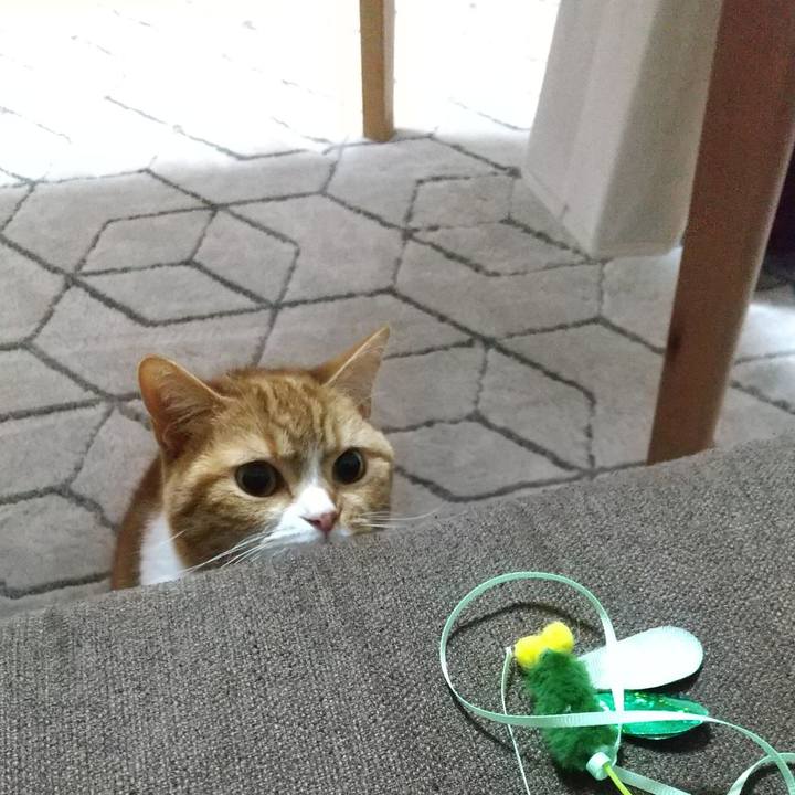 Fcdb3d52 210c 465c a58e 296924f77c37 1679813070004