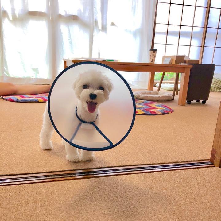 Fcdb41ee 7ea3 4ceb 991a 149ebfdcb279 1535619166545