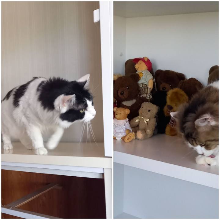 Fcdb4fd6 d6ef 42b8 a509 93cca774b2a6 1651617330561