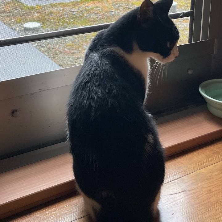 Fcdb8b2f ddad 4759 a275 e23d2a29ab08 1688772179179