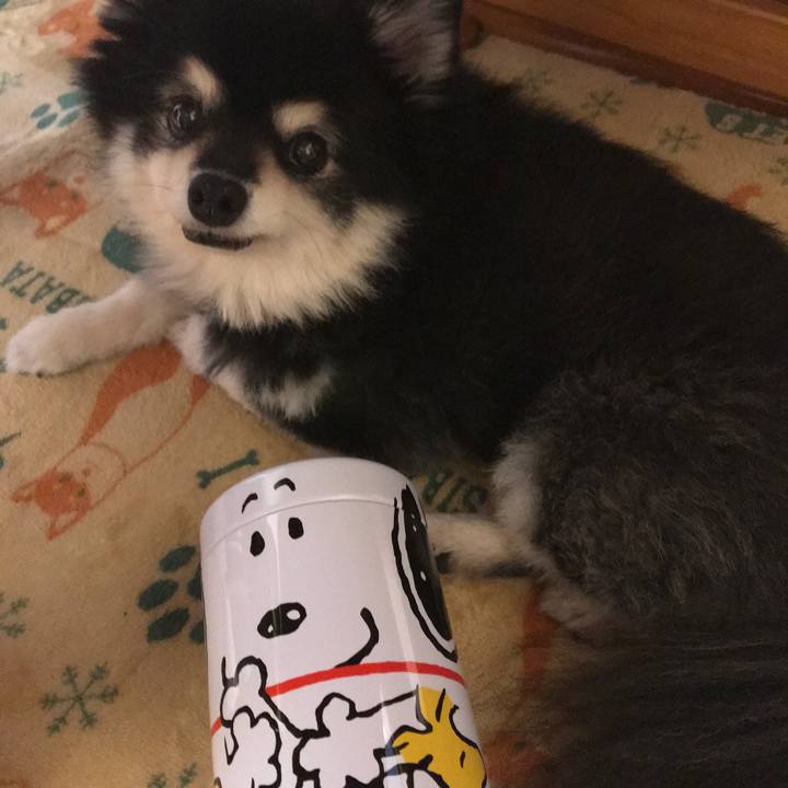 Fcdbe5a8 b68e 4742 bc2d 66b95f445e7f 1637623904401