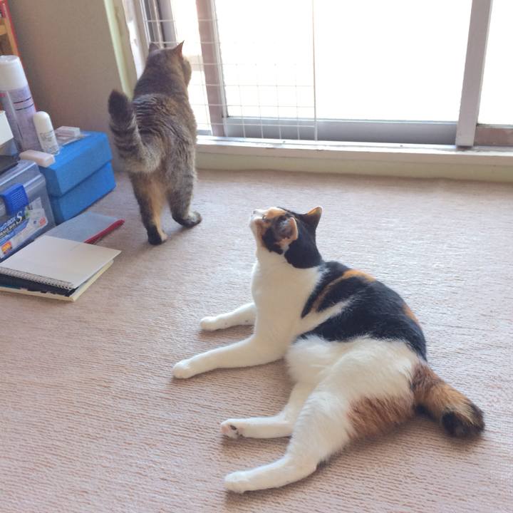 Fcdbe757 7f61 4688 a4f2 021097eeee73 1559170079116