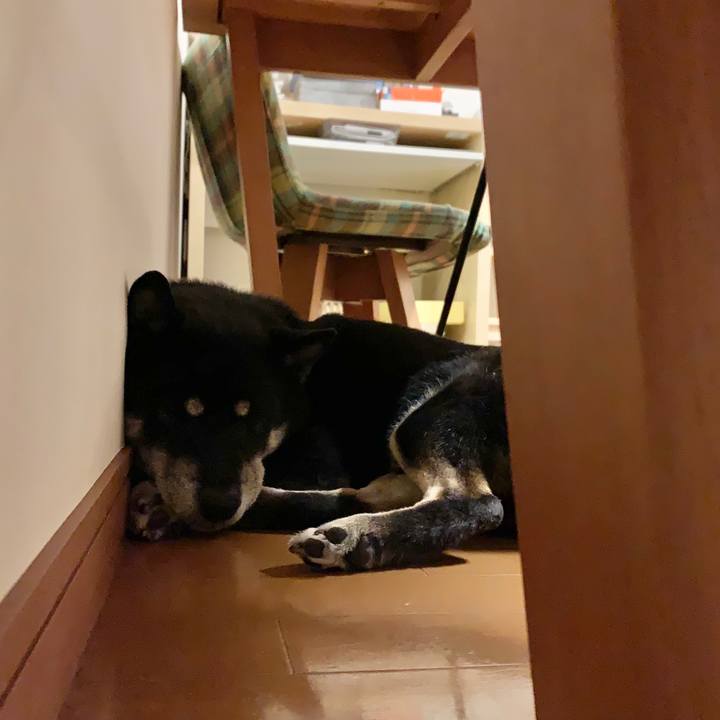 Fcdc0248 5a46 4c27 aa69 95375e9510d7 1608394531805