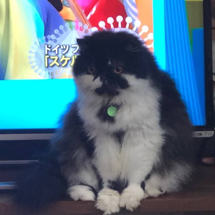 Fcdc2b13 e0ed 49ec 926b 9f54a9d12d06 1561771595983