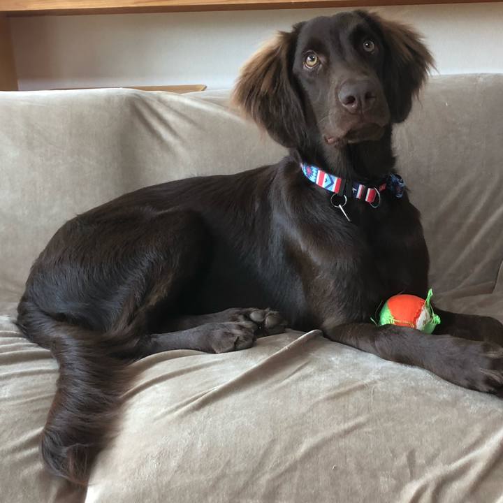 Fcdc2d20 7dd3 4b97 8d33 e0ac4d21f8d7 1563500533311