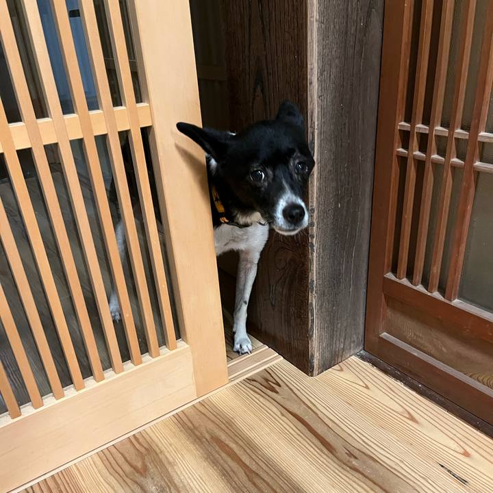 Fcdc47d0 ee5c 4a20 bc05 f5b413e7c351 1660907854274