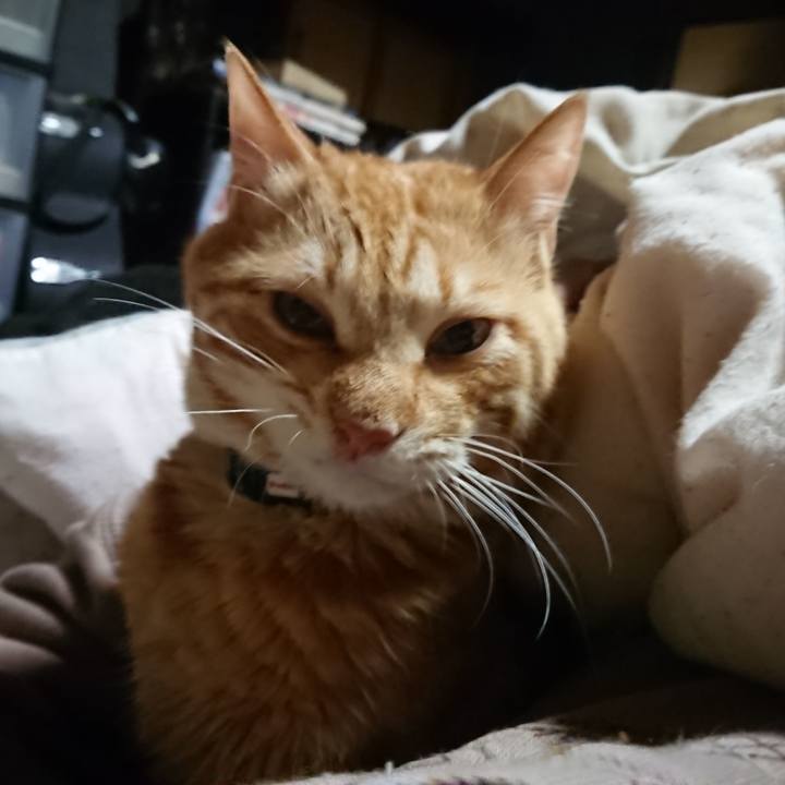 Fcdc77b1 2ea1 4206 ad3e f736d5d9b3f6 1644613768844