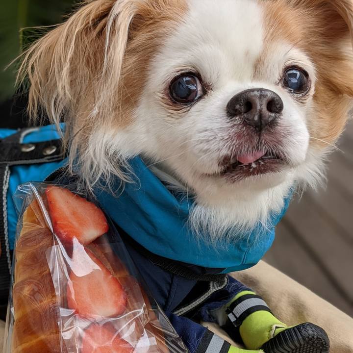 Fcdc7a0d 3197 447c b02c eeba7572eb34 1645240089371