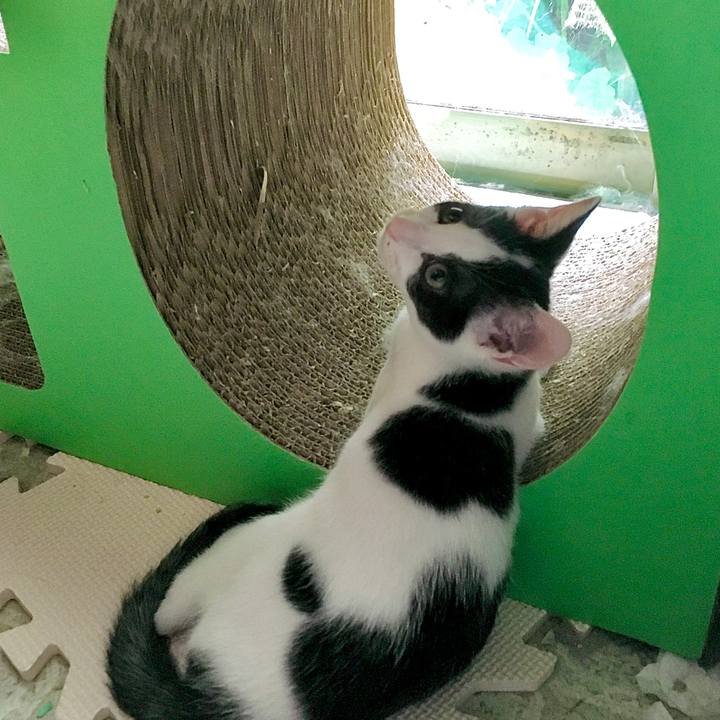 Fcdc7a80 c3c9 4b88 9640 f5d2d647d863 1632197921209