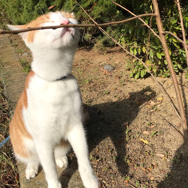 Fcdc9fec e3d8 450b a484 707cf18af263 1513229694928