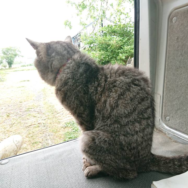 Fcdca2cb e399 4488 a189 da3744fa4e01 1593296459884