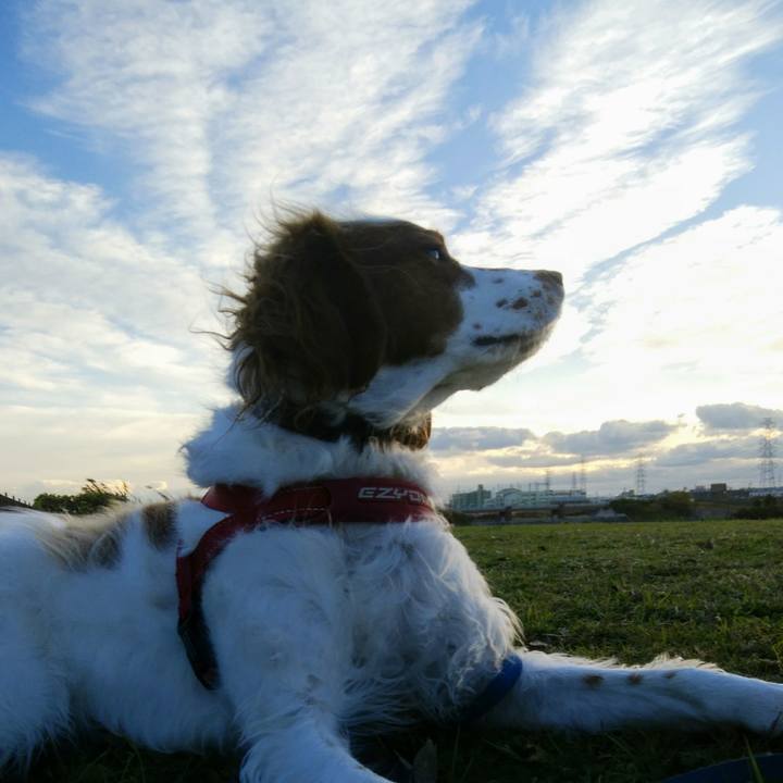 Fcdcae30 7b7c 44a3 b4b6 bd514a5df118 1544258334258