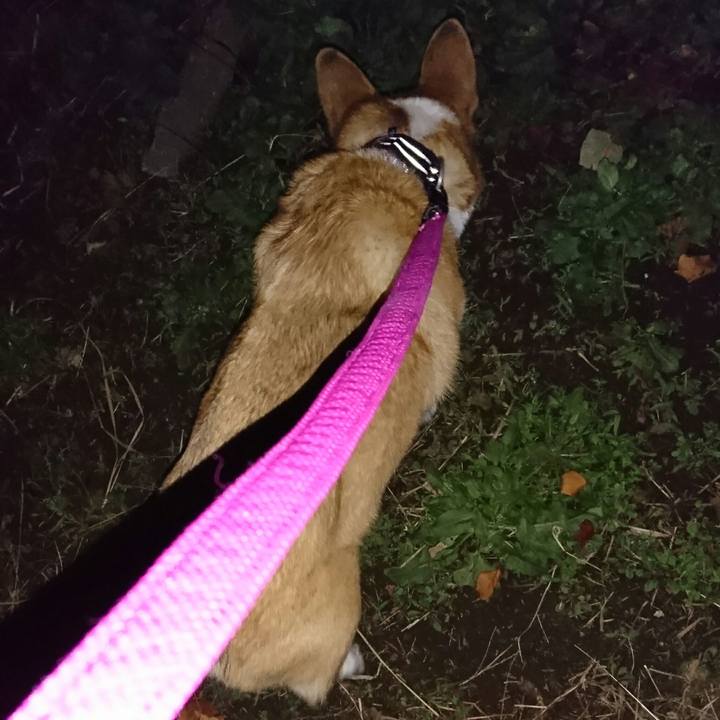 Fcdd1371 6560 4883 847a bca5c1dbe9c4 1541161238435