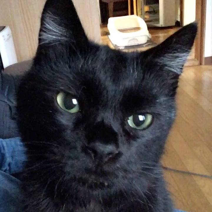 Fcdd2c45 879d 4ff7 a024 298ea4fea26d 1541366715555