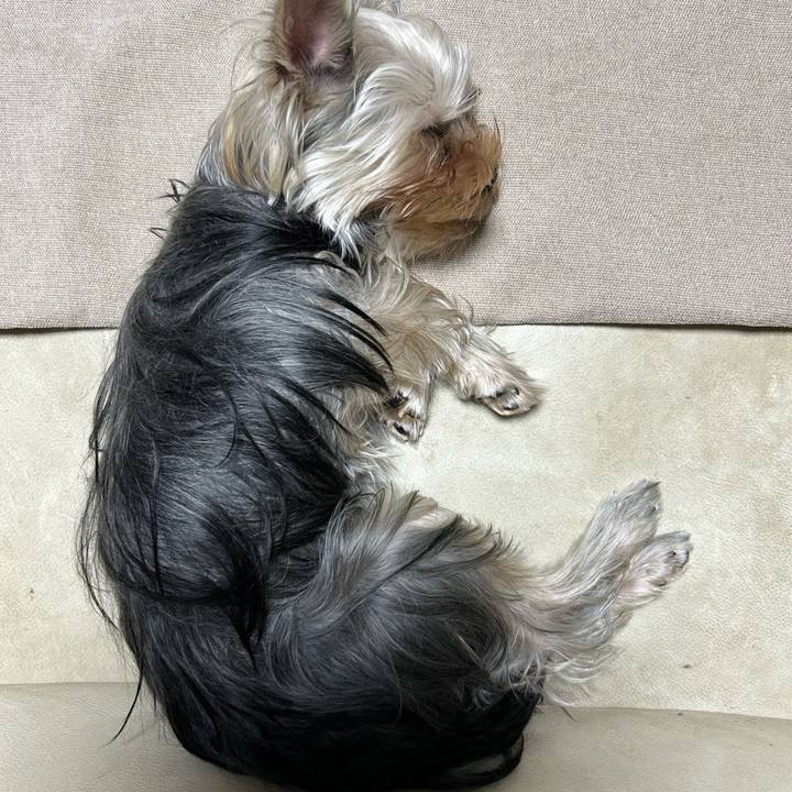 Fcdd8b18 7a7f 4cf3 bafd 32d4d6d81a1c 1731243368073