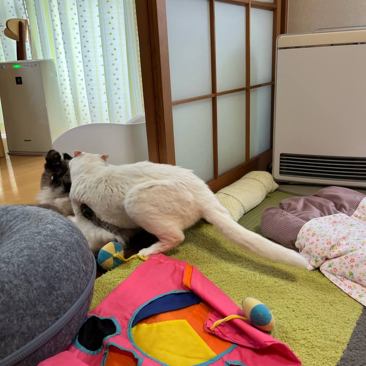 Fcddb4dc 4333 47b7 9edc d47395db40be 1774782059370