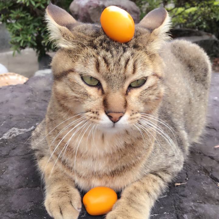 Fcdde830 eb67 44b7 8241 dee7288528ce 1532650859547