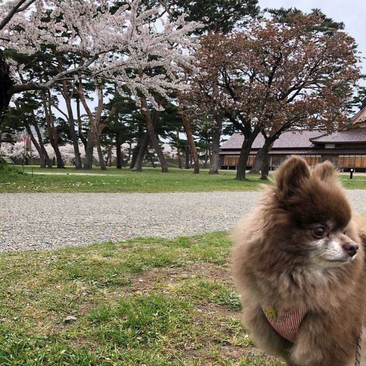 Fcde0bdc 9a7e 47bb 923a 5ce3635b3381 1619658826327