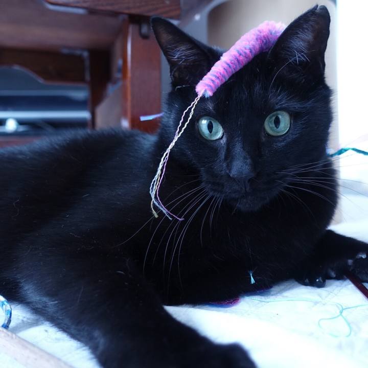 Fcde4aa6 bf31 4465 a818 38e1a3642e2f 1516240007410